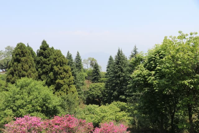 View of Nepal during Spring